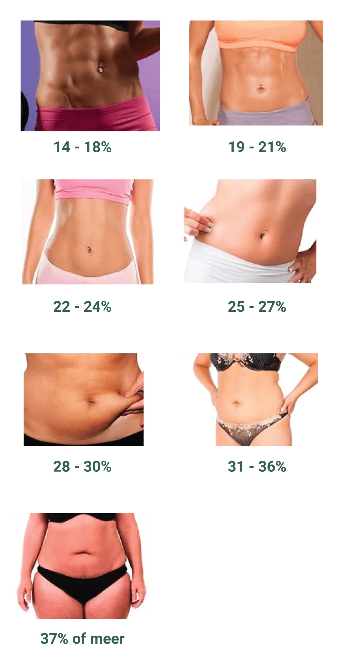 overview-body-fat-chart-female-1