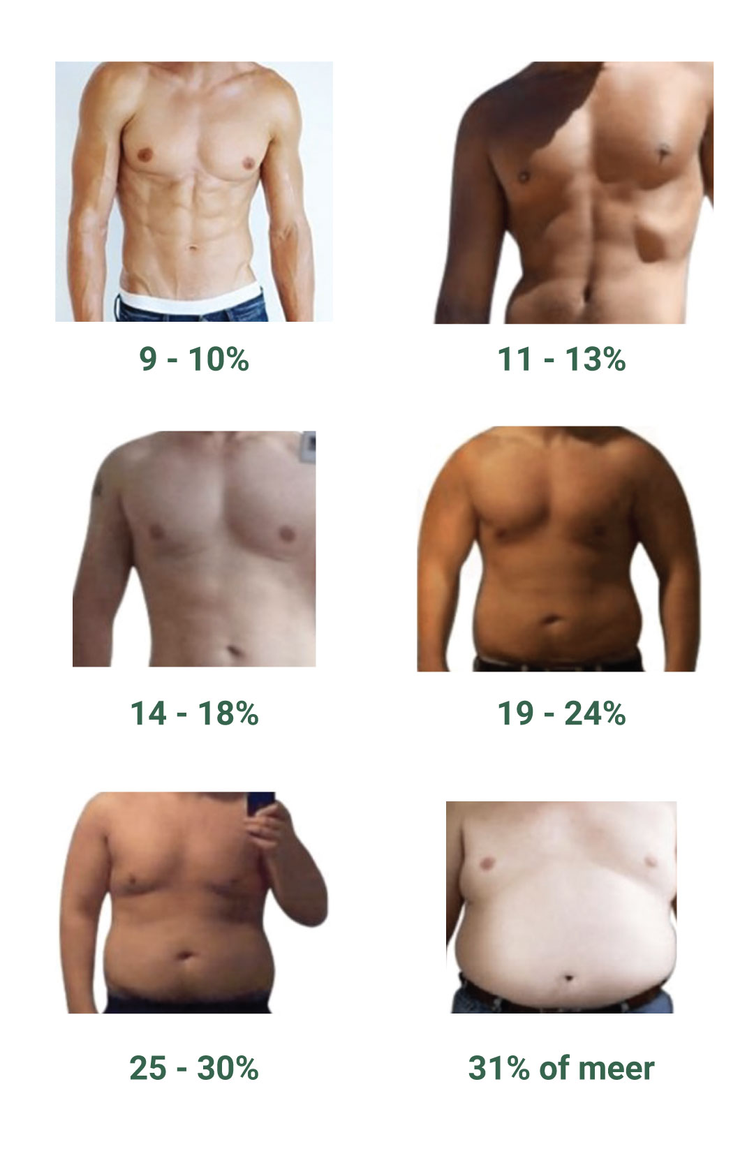 overview-body-fat-chart-male